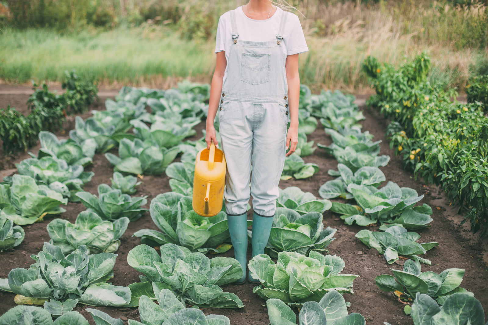 Half-body woman in a jumper suit holding a watering pot on her right hand while standing in the middle a garden planted with cabbage.